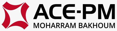 Cairo Airport Company